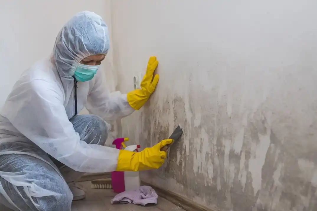 water damage restoration service Old Town